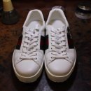 도그 에이스 이미지