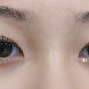 래쉬 비(LASH B!)