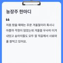 상원한우농장 네이버블로그