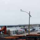 소노하임 이미지