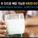 B12-2 이미지