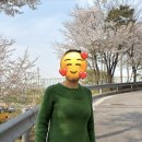 성일사세탁 네이버블로그