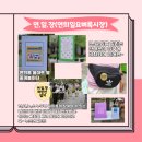 6월의 목장 네이버블로그