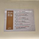 금빛코다리 이미지