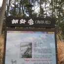 솔향기바다 이미지