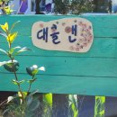 대흘앤 이미지