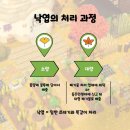 [홈앤그리너 4기] 페어&amp;플레이 &#34;모아봐요, 낙엽의 숲&#34; - 오프라인 부스 준비 과정(기획, 사전홍보)