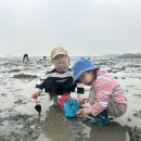 [오이도 갯벌체험] 인천 아기랑 가볼만한곳 추천, 올해 또 방문한 장화, 호미 대여가능한 갯벌장소