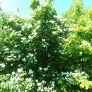 내포농산 이미지