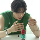 같이놀레오 이미지