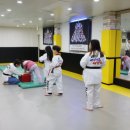 용인대 석사 타이거즈 태권도장 이미지