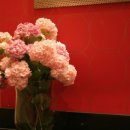 예지미의원 이미지