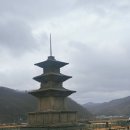 삼층바다 | 경주 가볼만한곳 경주 감은사지 삼층석탑 솔직후기