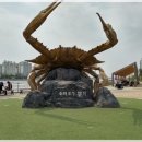 황금어장PC 이미지