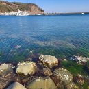 한국지엠금산바로서비스 | 🍁 &lt;독일마을펜션&gt; 가을의 남해에서 만난 힐링 감성숙소, 남해 &#39;풀하우스펜션&#39; 여행후기