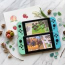 에스디(SD)동물영상센터,서울 | [모동숲] 5성 섬 투어 &amp; 조이콘 쏠림 무상 수리, 자가 수리 꿀팁까지 총정리! 🎈