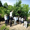 경주화랑고등학교 이미지