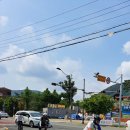 한티농장 이미지