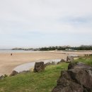 표선백사로 이미지