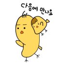 노브나인(Nov Nine) 네이버블로그
