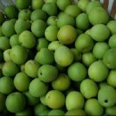 선비골농장 이미지