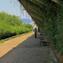 뚝섬한강공원-28 이미지