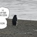 마왕족발 - 김해시 내외중앙로 48 | 마왕족발