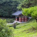 도피안사 이미지