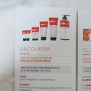 파워풀엑스제주 | 파워풀엑스 박찬호크림 효능 알아보기!