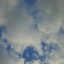 하늘정원장 이미지