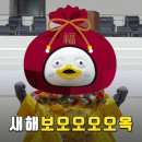큐 모텔 | 2025 가요대제전 사녹다녀오다