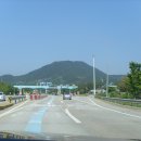 주먹밥 이야기 티스토리