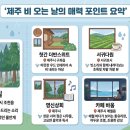 다원상회 | "차라리 비가 와서 다행이다" — 오히려 비 오는 날 더 분위기 좋은 제주 스팟