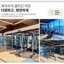 올웨이즈피트니스 이미지