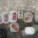 블루베리 삽목법(초보자용) 이미지