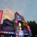 에버랑스 | 에버랜드 주말 후기 할로윈, 셔틀버스,스마트줄서기까지 꿀팁 전부보고가세욥 !