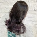 디자인퍼플 네이버블로그