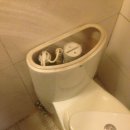 형제전기.열쇠 이미지