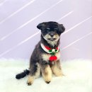 나무쉼터 동물병원 이미지