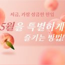 이디야 꿀자몽 그래놀라 1인 빙수 가격 칼로리 직접 먹어 본 후기