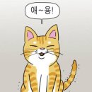 분포나인 이미지