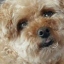 탄리로95번길 이미지