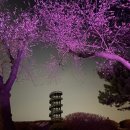 갯골캠핑장 이미지