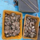 한길타조농장 이미지