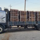 이송태양광발전소 이미지