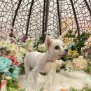 오늘, 더 예쁘게 이미지