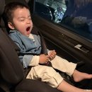 삼성1-117 | 2026 삼성디스플레이 어린이날 행사 후기 및 꿀팁 at 기흥캠퍼스