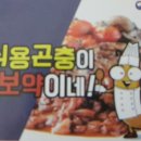 서동굼벵이 네이버블로그