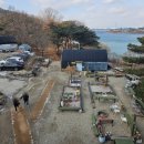 봄마중(2월에는) 이미지