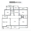 햇님나라음악학원 이미지